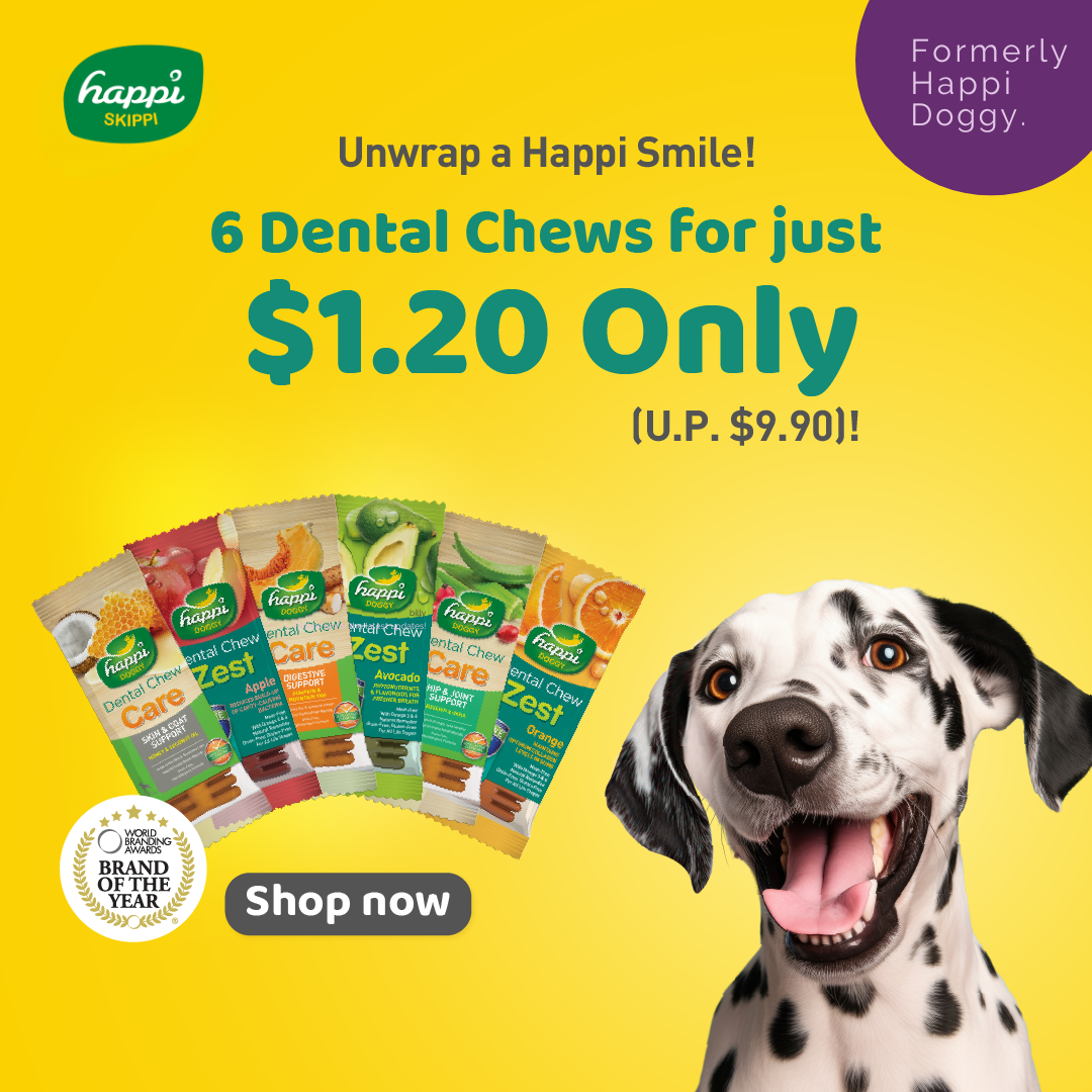 Happi Doggy Dental Chew Zest Care Singapore Yappy Pets