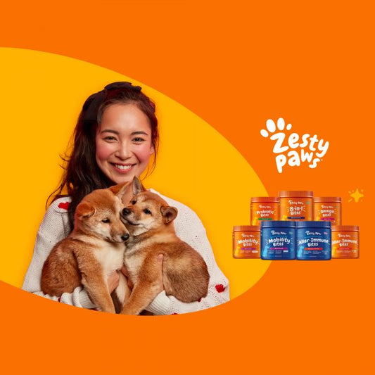 Yappy Pets Welcomes Zesty Paws to Singapore