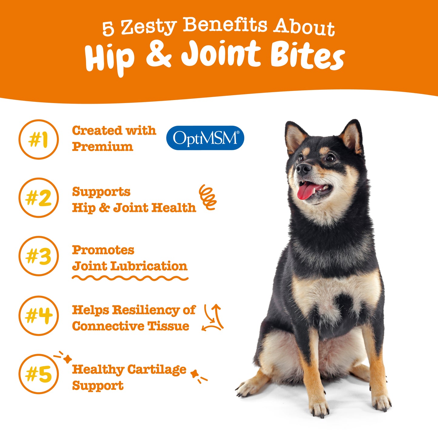 Zesty Paws (Dogs) Hip & Joint Bites 90 Chews