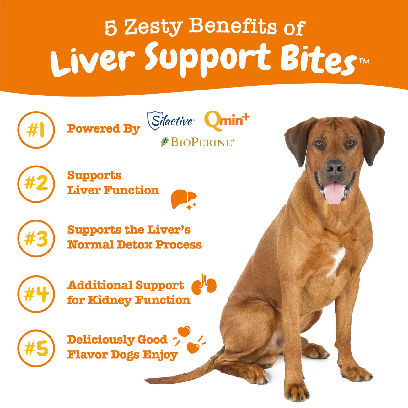 Zesty Paws (Dogs) Liver Support Bites Chicken - 90 Chews