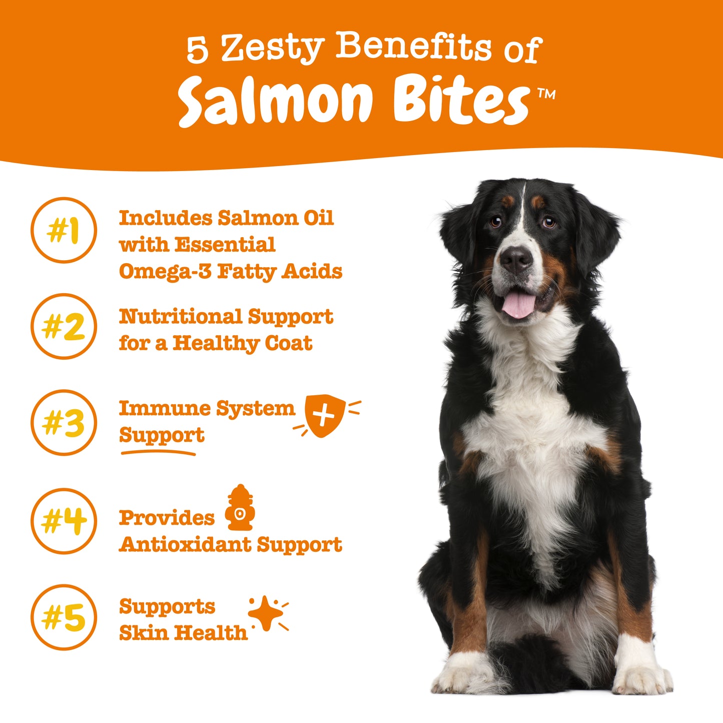 Zesty Paws (Dogs) Salmon Bites 90 Chews