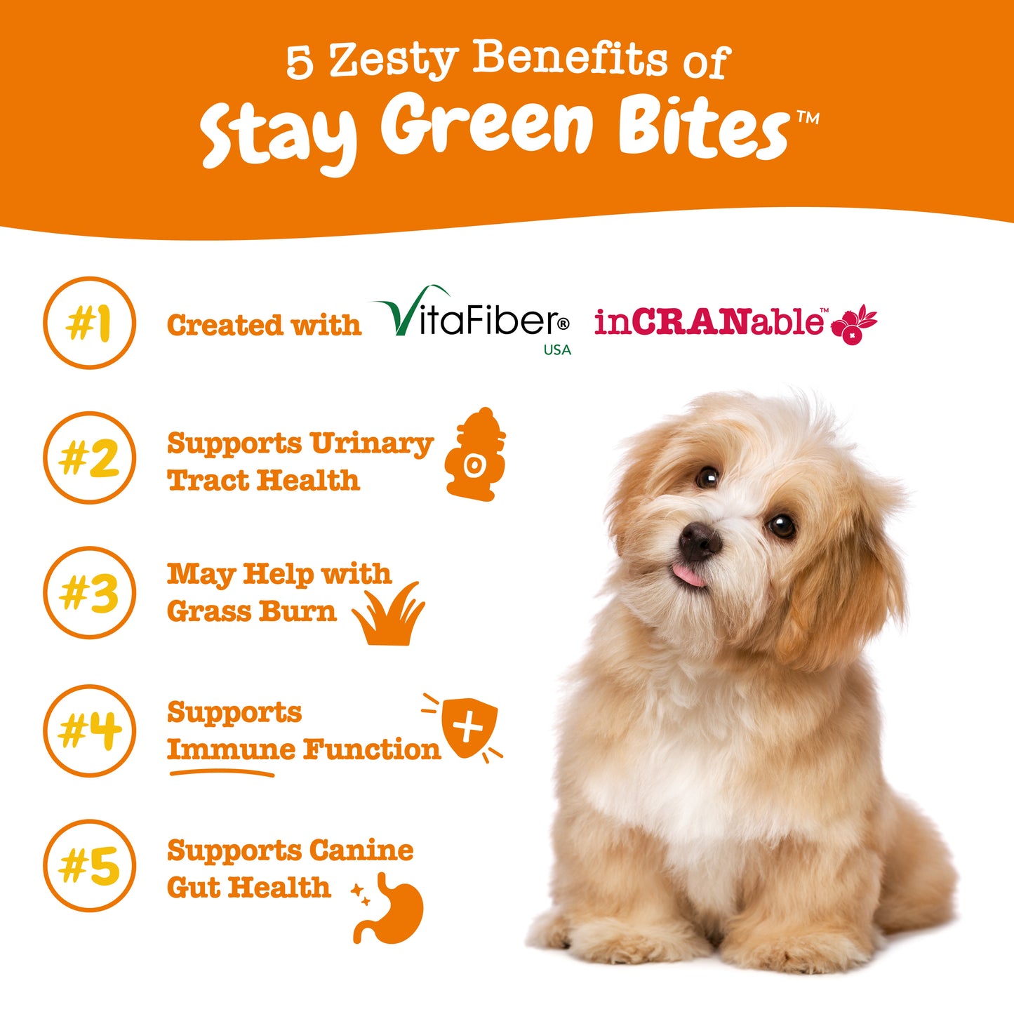 Zesty Paws (Dogs) Stay Green Bites Chicken - 90 Chews