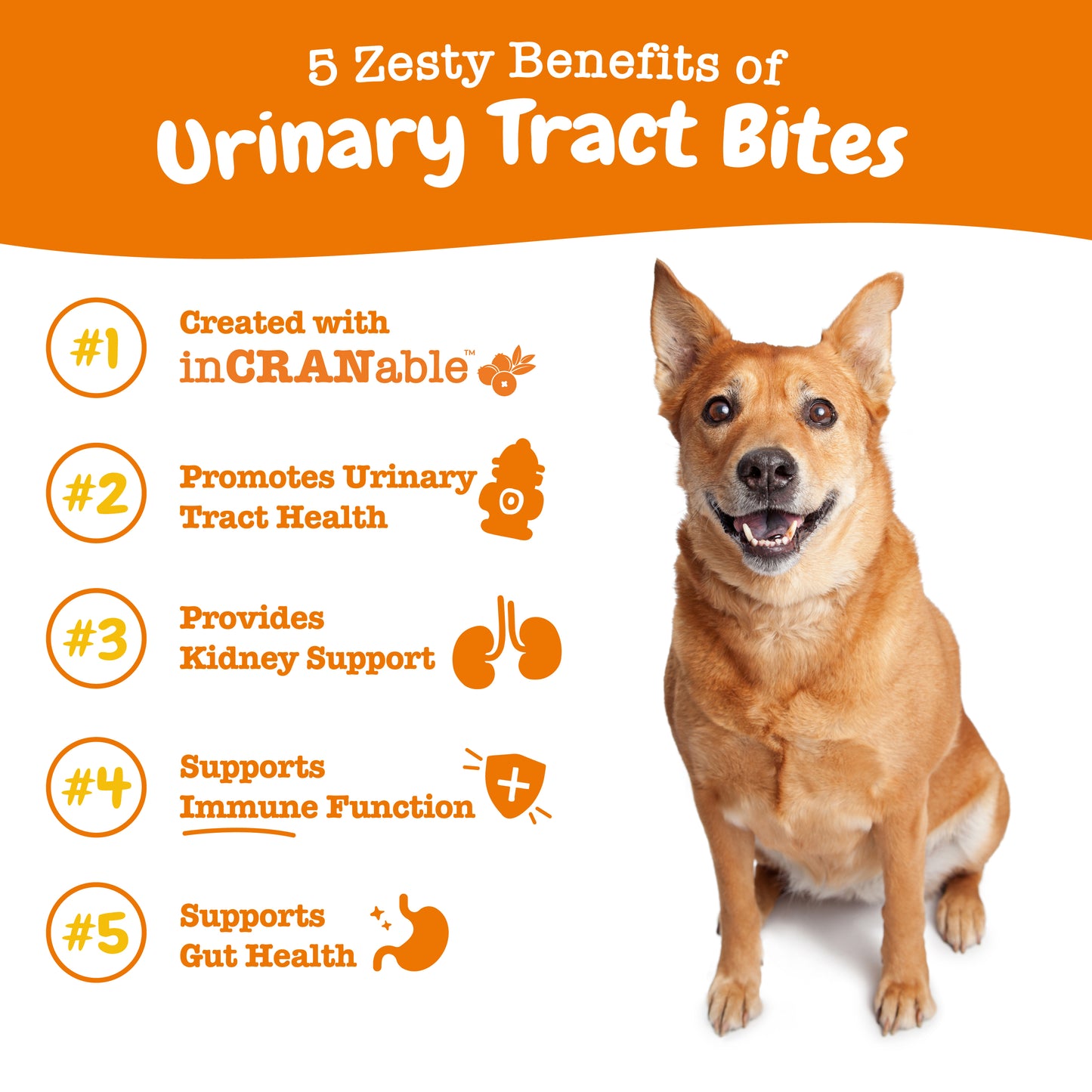 Zesty Paws (Dogs) Urinary Tract Bites Chicken - 90 Chews