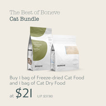 Boneve - The Best of Boneve - Cat Bundle