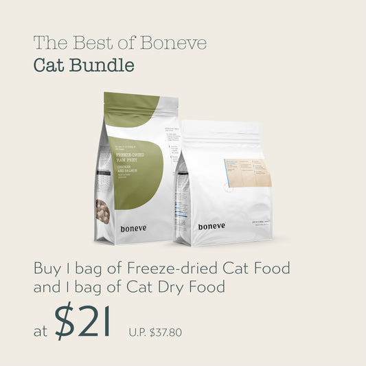 Boneve - The Best of Boneve - Cat Bundle