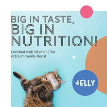 Daily Delight Variety Starter Bag Wet Cat Food (Jelly - 6 cans)