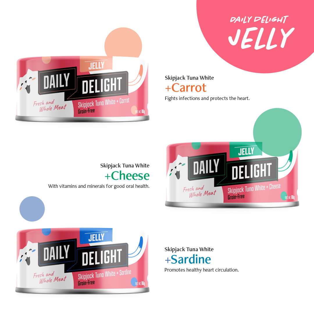 Daily Delight Variety Starter Bag Wet Cat Food (Jelly - 6 cans)