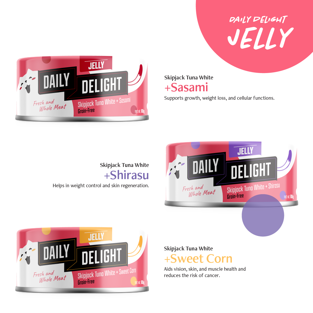 Daily Delight Variety Starter Bag Wet Cat Food (Jelly - 6 cans)