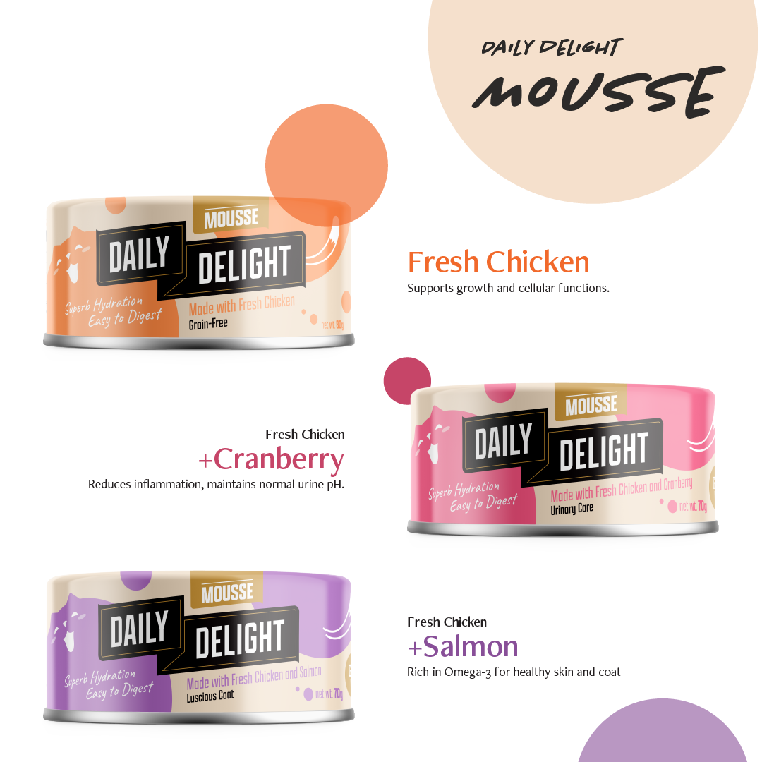 Daily Delight Variety Starter Bag Wet Cat Food (Mousse - 6 cans)