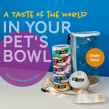 Daily Delight Variety Starter Bag Wet Cat Food (Pure - 6 cans)