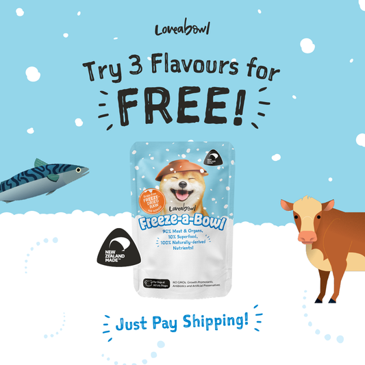 Loveabowl Freeze-a-Bowl Freeze-dried Raw Food for Dogs (5g sample pack)