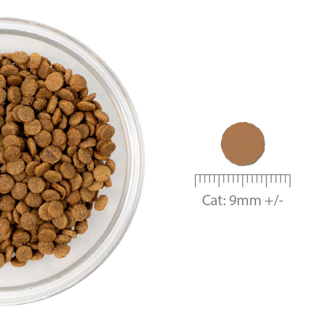 Boneve Grain-Free Dry Cat Food (Ambassadors)