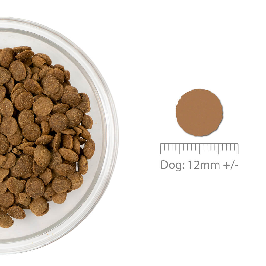 Boneve Grain-Free Dry Dog Food (Ambassadors)