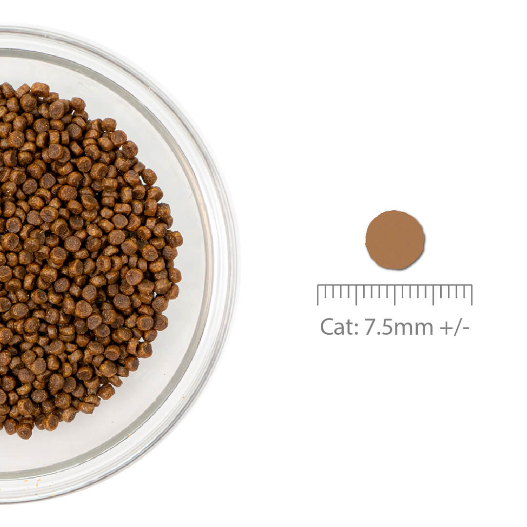 Loveabowl Grain-Free Dry Food Cat Bundle